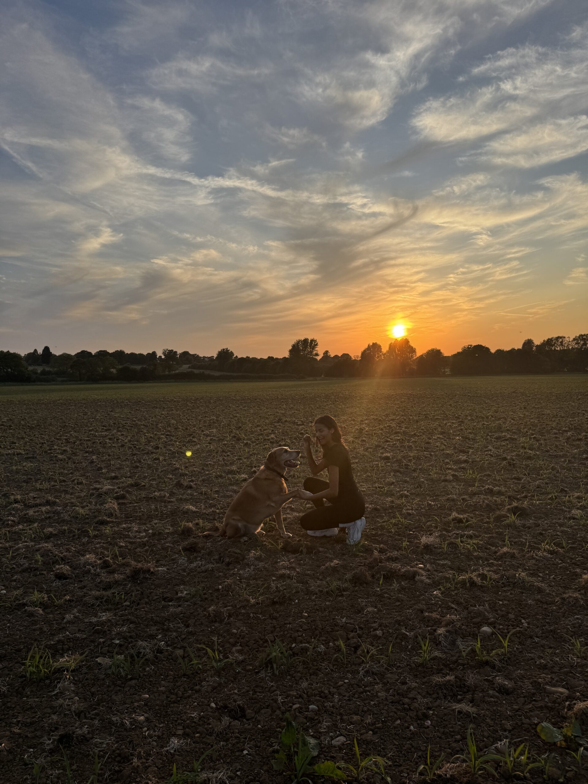 Should I stay Or Should I go? 